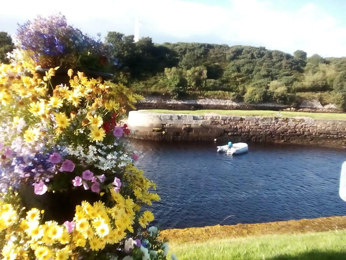 Song Of The Sea, Selkie House Bed and Breakfast Helmsdale Buitenkant foto